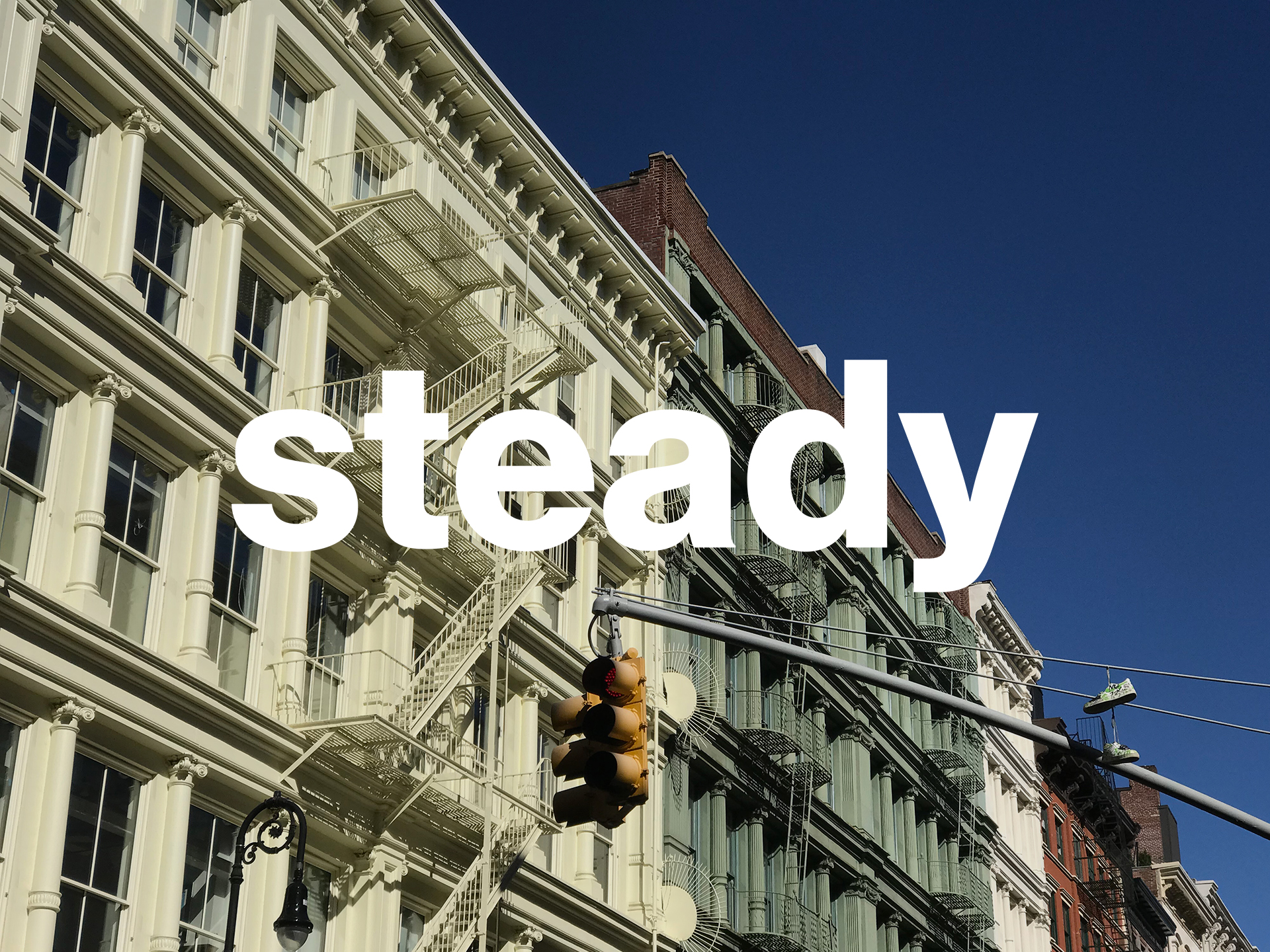 steady ltd